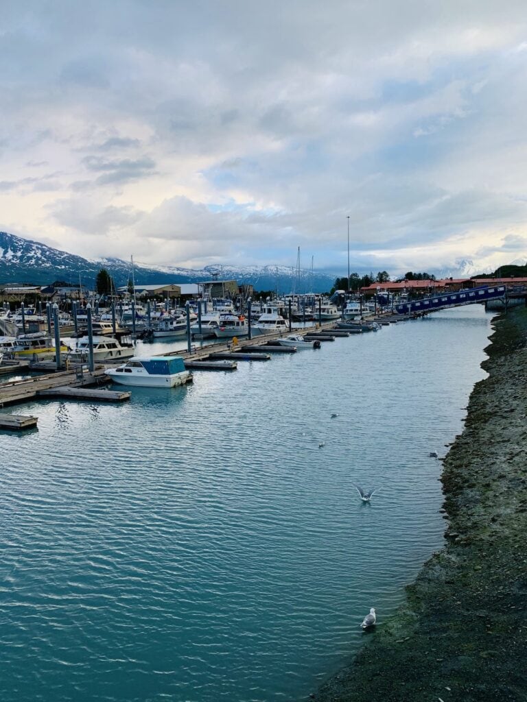 The serene marina in Valdez, Alaska with several boats docked in calm blue waters, set against a backdrop of mountains with snowy peaks under a cloudy sky. Seagulls can be seen near the shore and one in flight over the water.