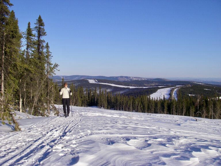 Visiting Alaska in March, Best Time for Winter Adventures